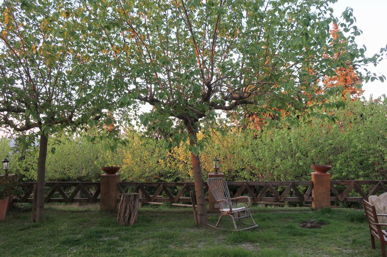 Masia Sagues