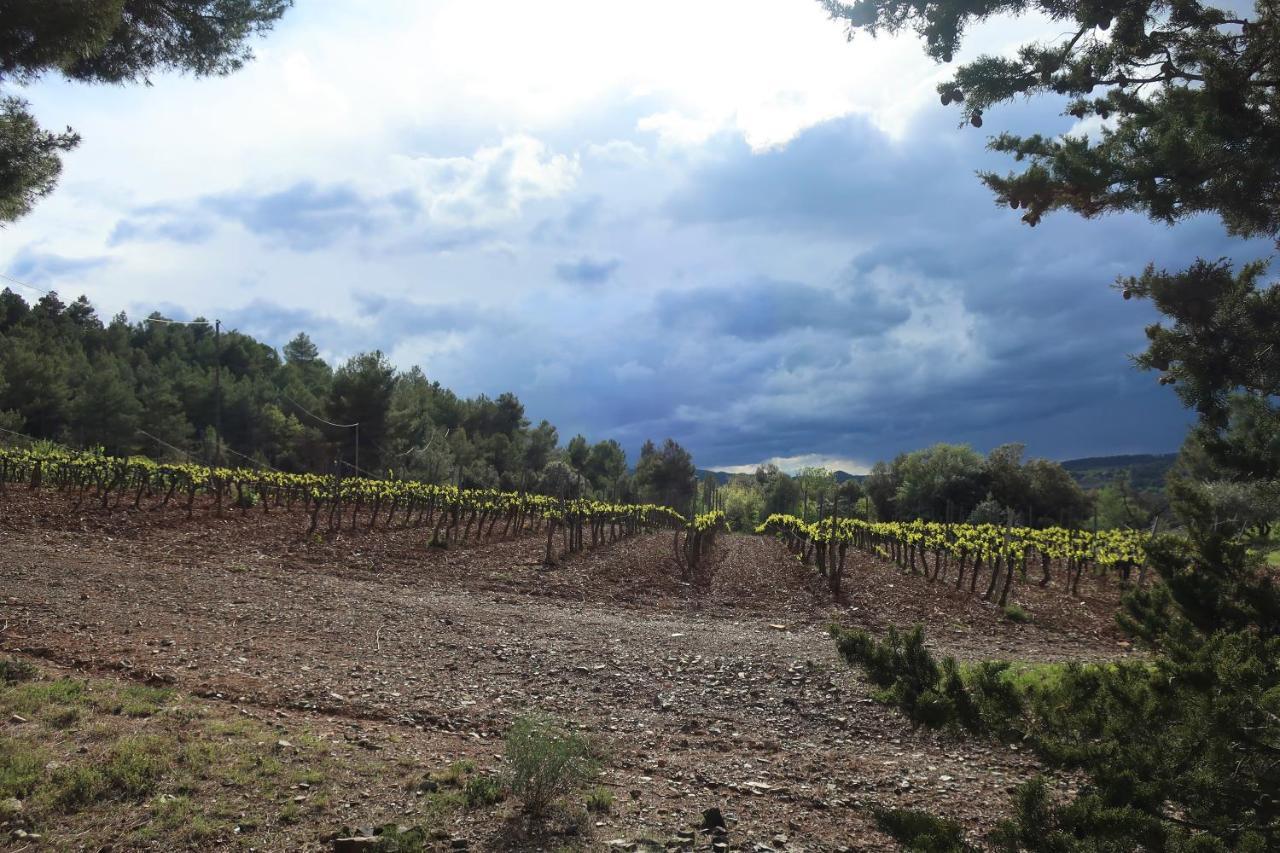Masia Sagués * Poblet