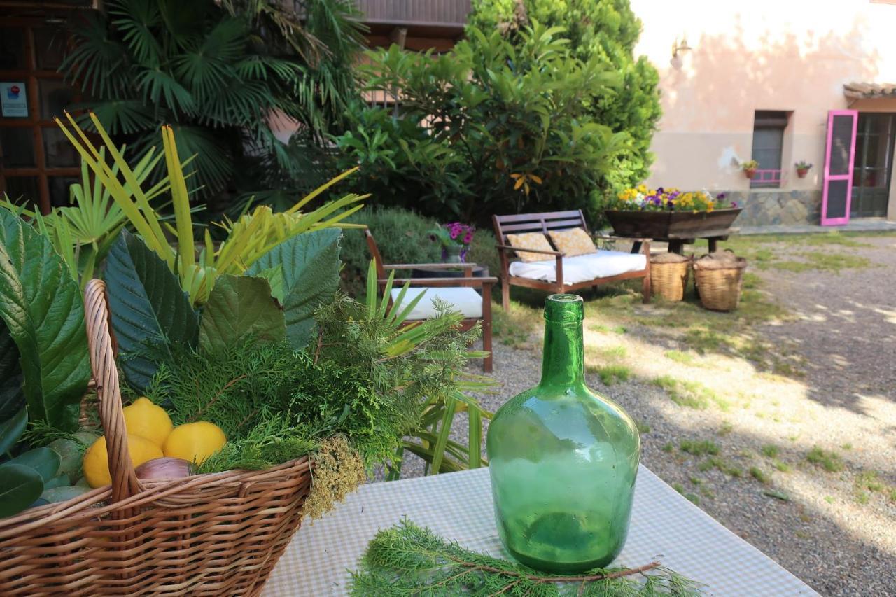 Masia Sagues Apartment *