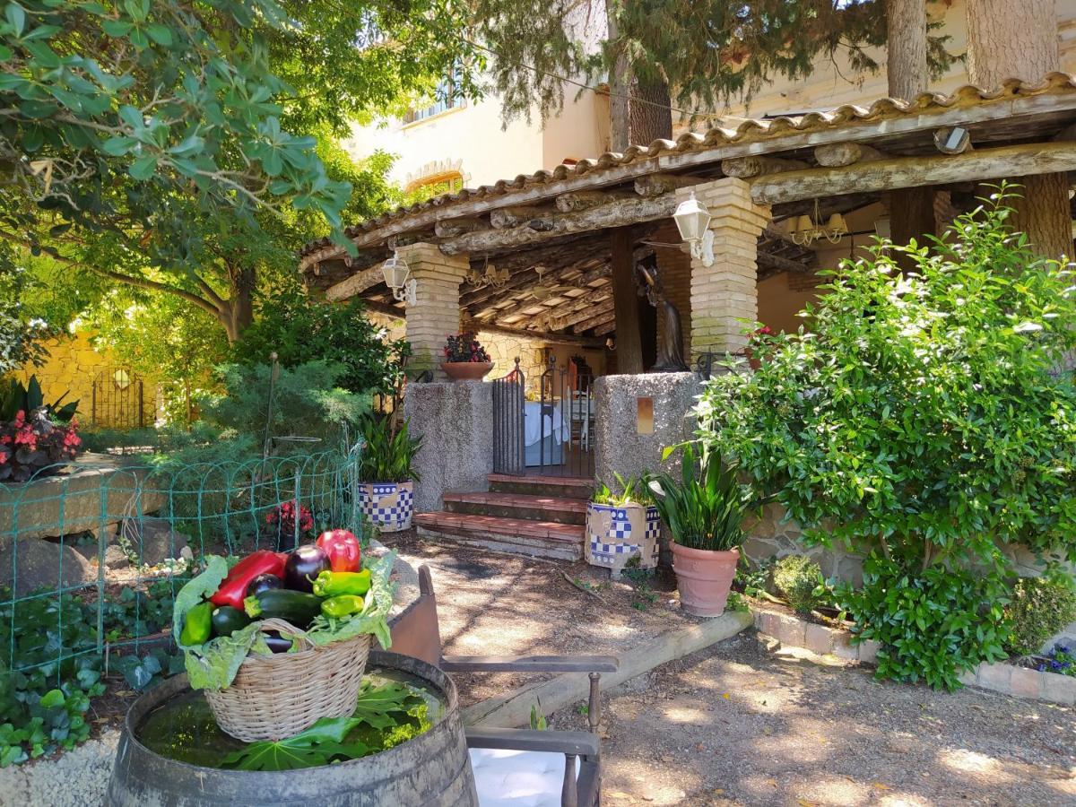 Masia Sagues Apartment *