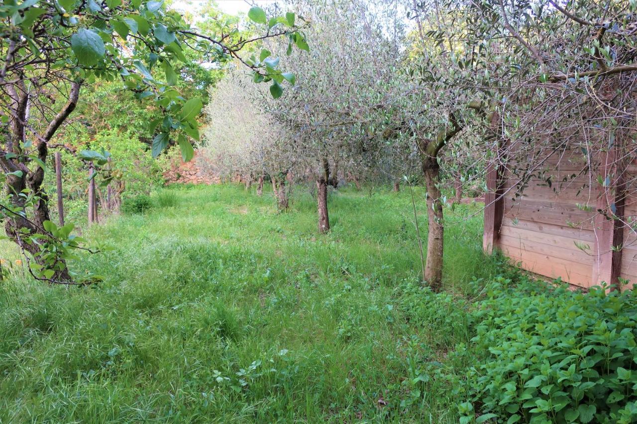 Masia Sagués Apartamento Poblet