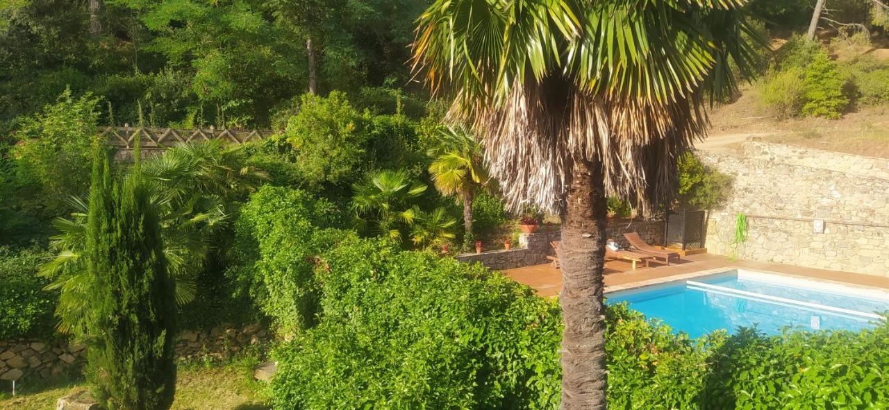 Masia Sagués Apartamento Poblet